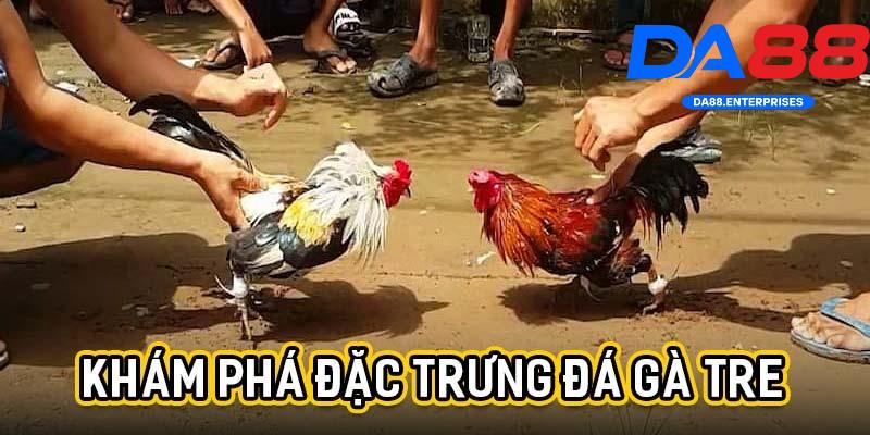 Đá gà tre – Cuộc so tài hấp dẫn được nhiều người chơi DA88 1 Đá gà tre da88