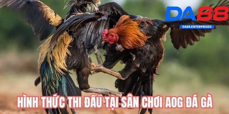 Các hình thức chơi ở sảnh AOG